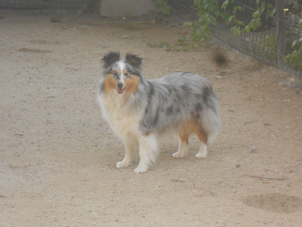 les bébés sont arrivés